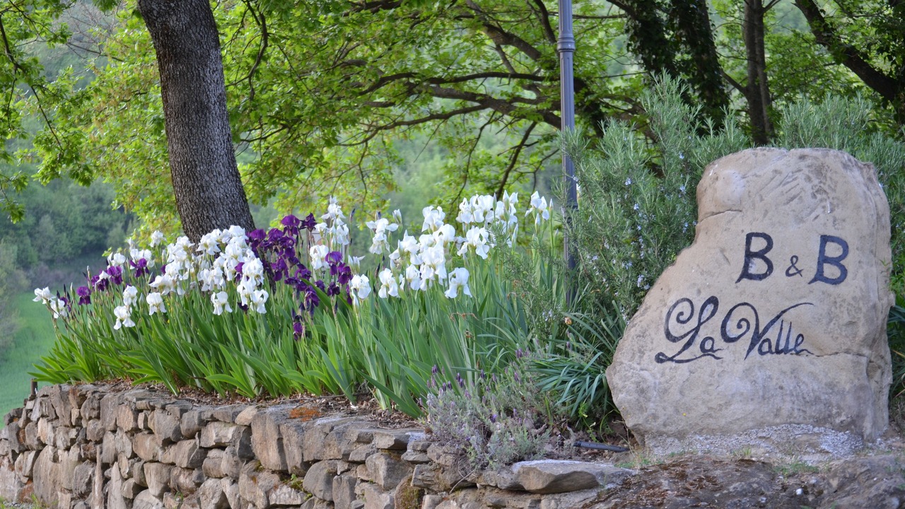 Photo of Outdoor in Talamello