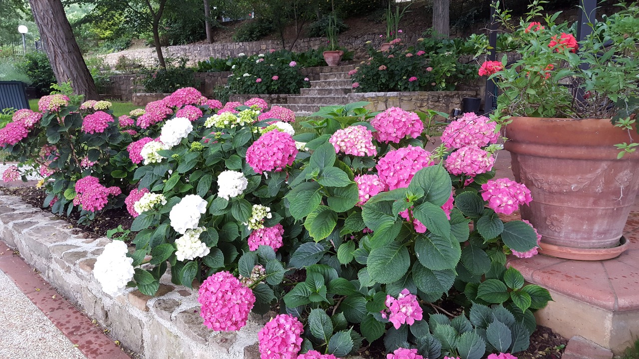 Photo of Outdoor in Talamello