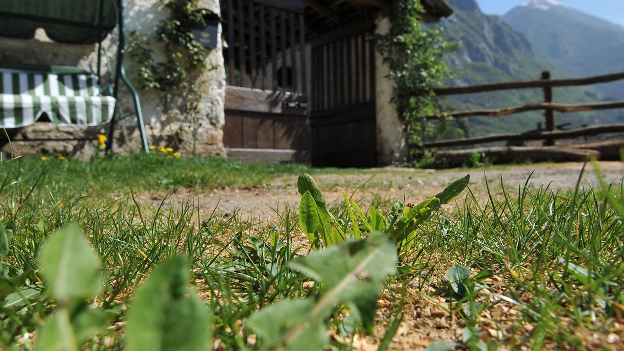 Photo of Outdoor in Pasturo