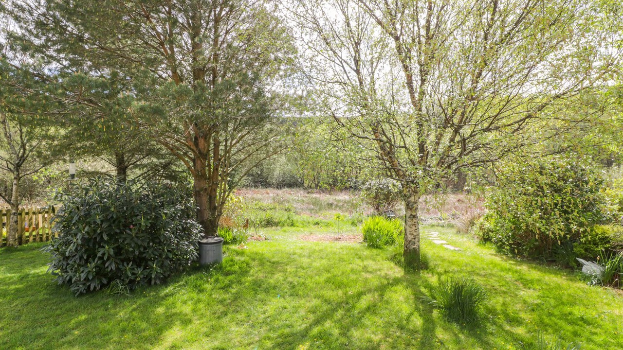 Photo of Outdoor in Craobh Haven