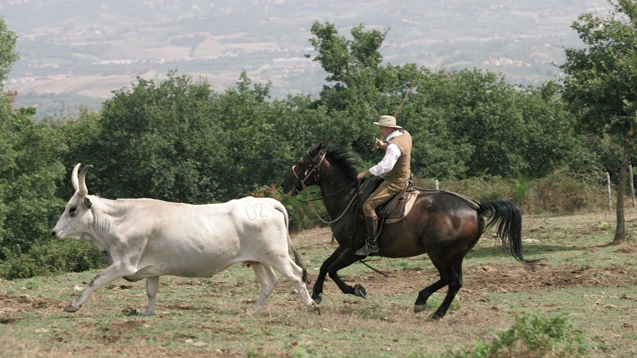Photo of Others in Neri