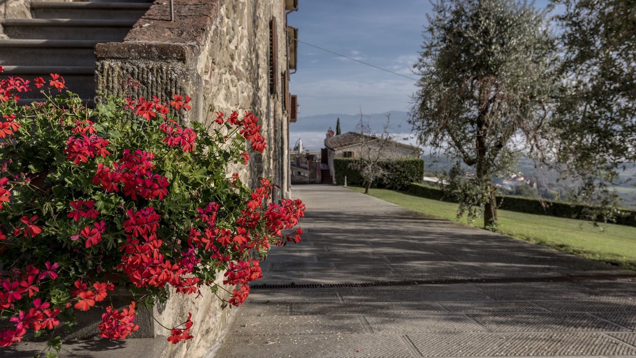 Photo of Outdoor in Neri