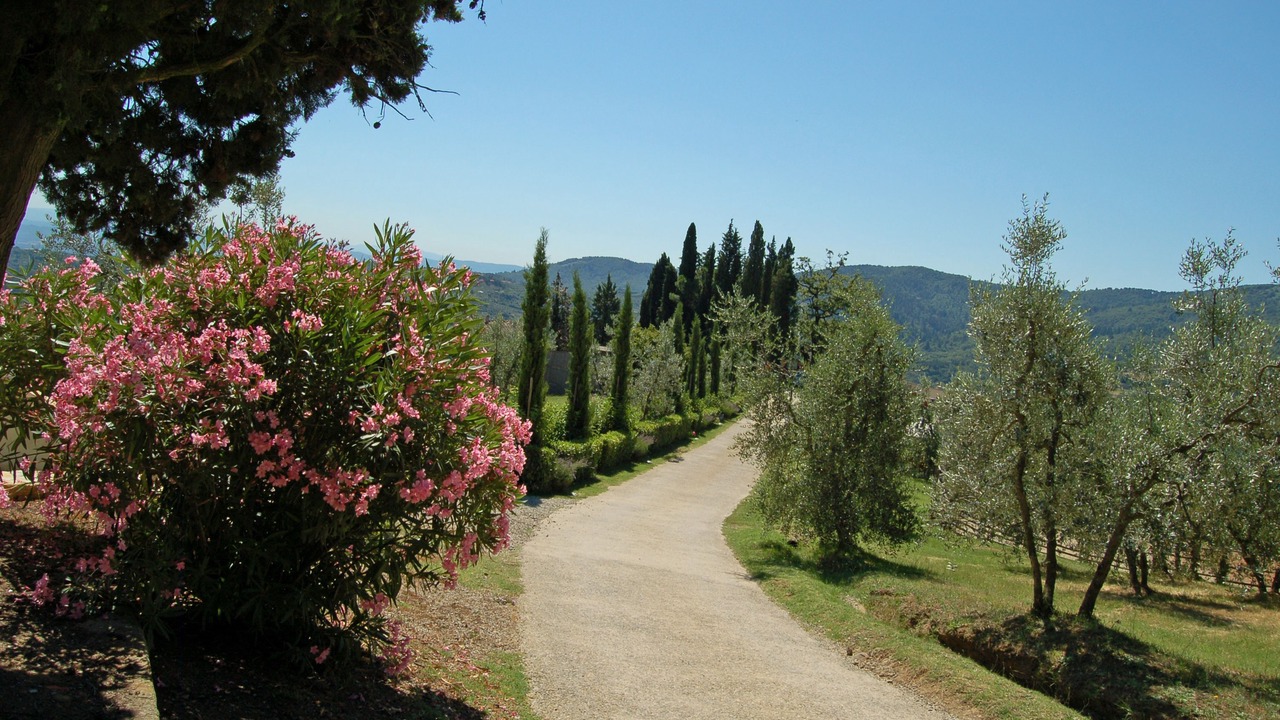 Photo of Outdoor in Neri