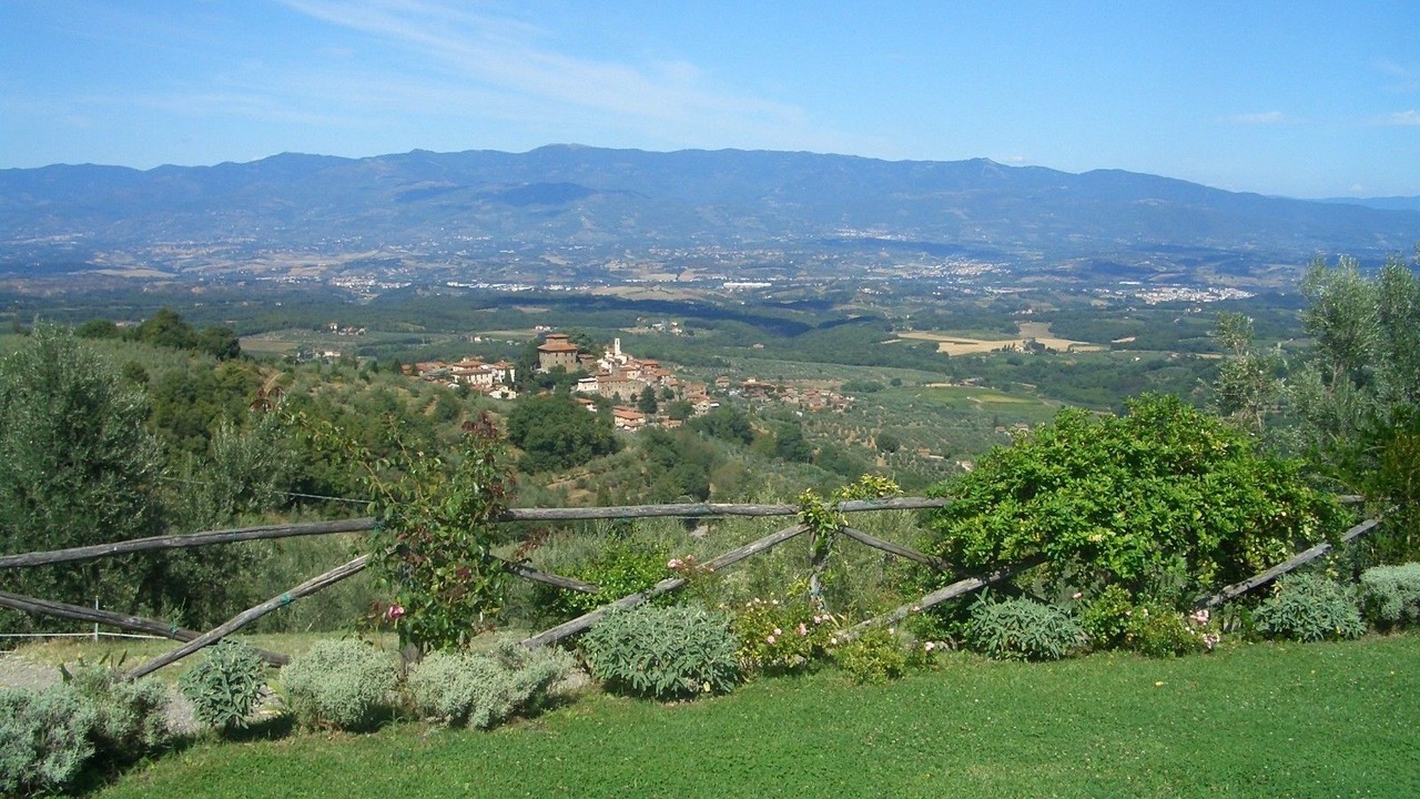 Photo of Others in Neri