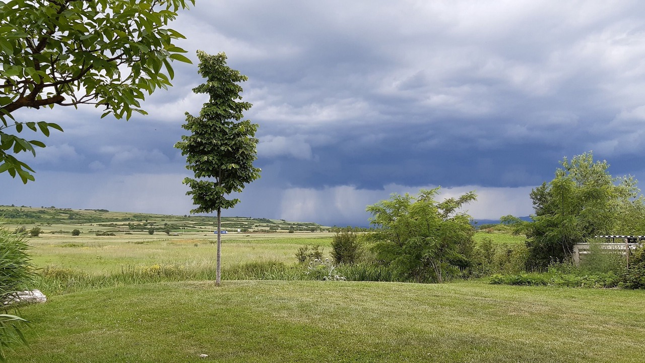 Photo of Outdoor in Pristina