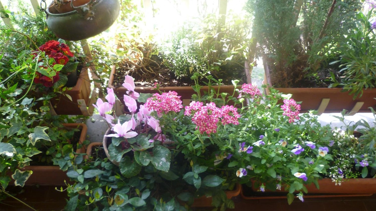 Photo of Outdoor in Vanchiglietta