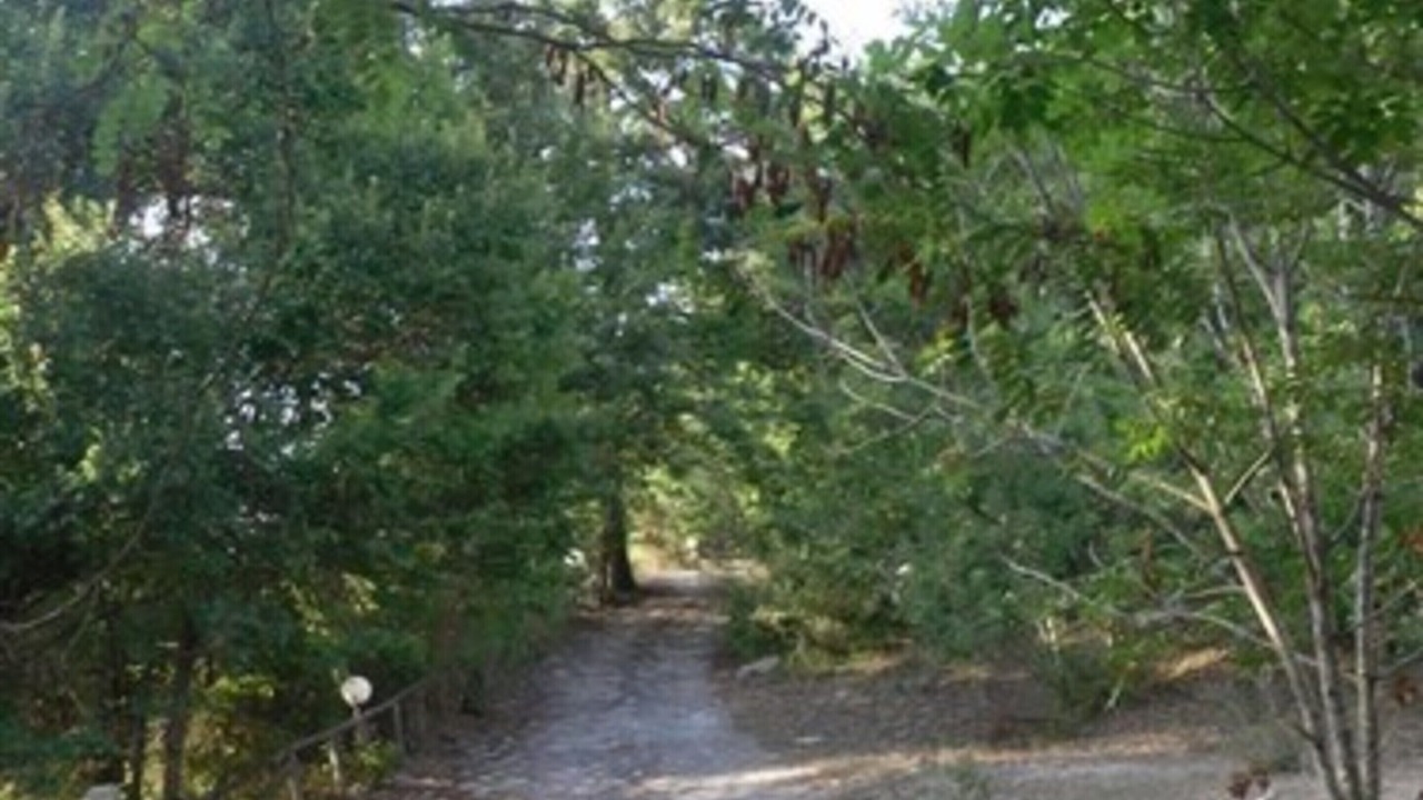 Photo of Outdoor in Tortorella