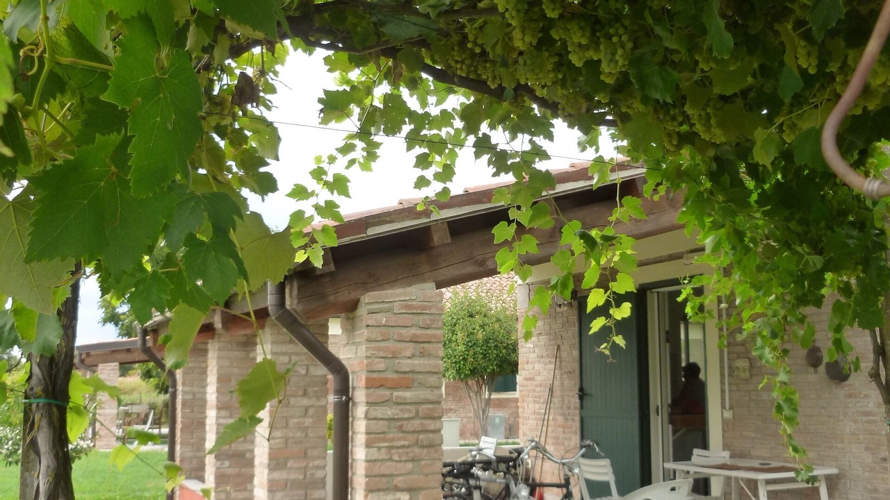 Photo of Outdoor in Melara
