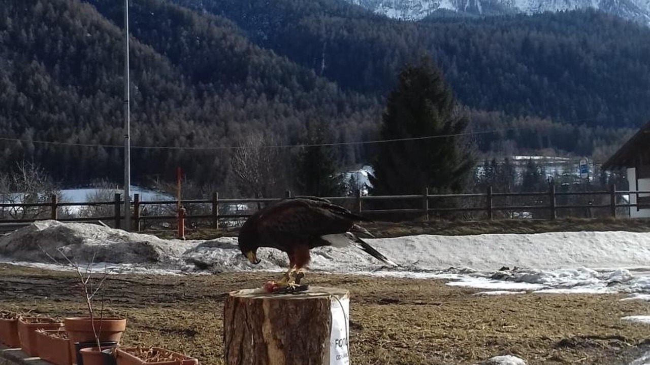 Photo of Outdoor in Monclassico