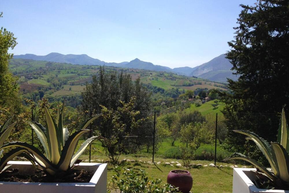 Photo of Others in Cupramontana