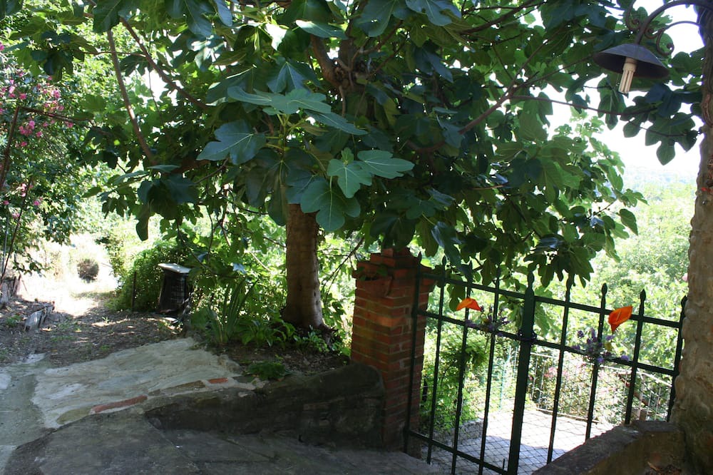 Photo of Outdoor in Ponte Buriano