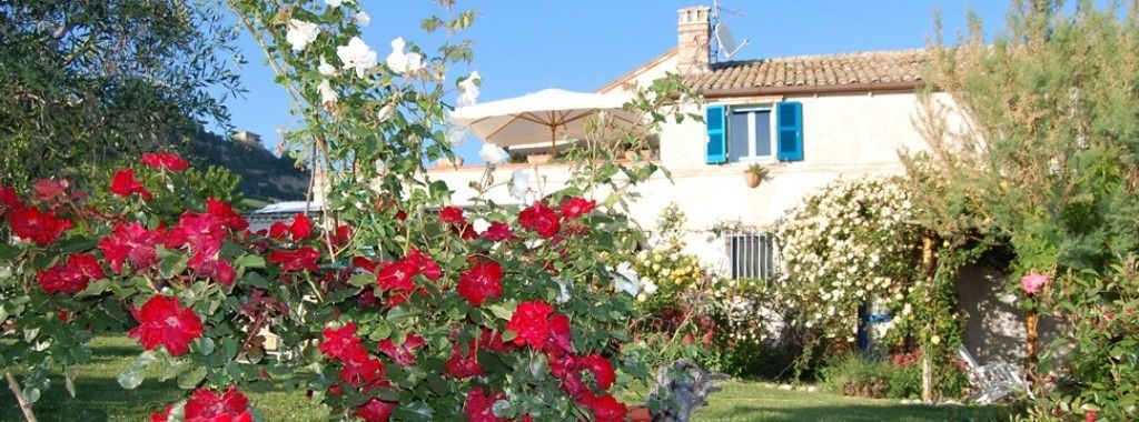 Photo of Outdoor in Monterubbiano