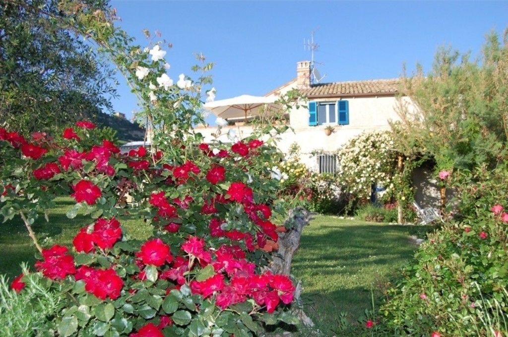 Photo of Outdoor in Monterubbiano