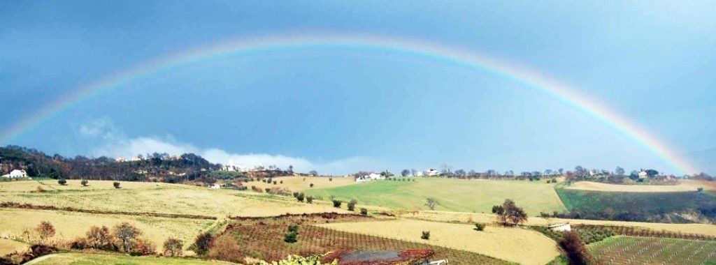Photo of Others in Monterubbiano