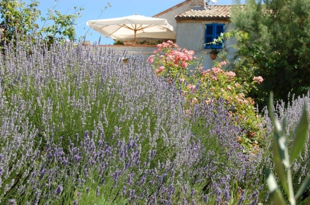 Photo of Outdoor in Monterubbiano