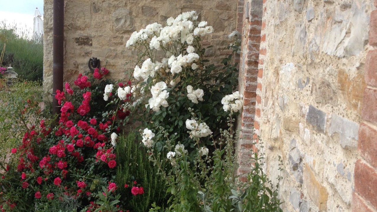 Photo of Outdoor in Castellina in Chianti
