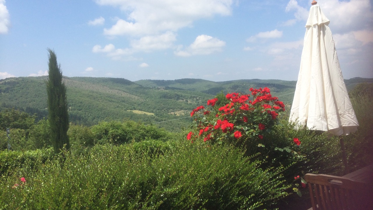 Photo of Outdoor in Castellina in Chianti