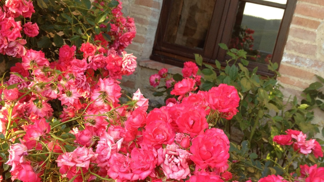 Photo of Outdoor in Castellina in Chianti