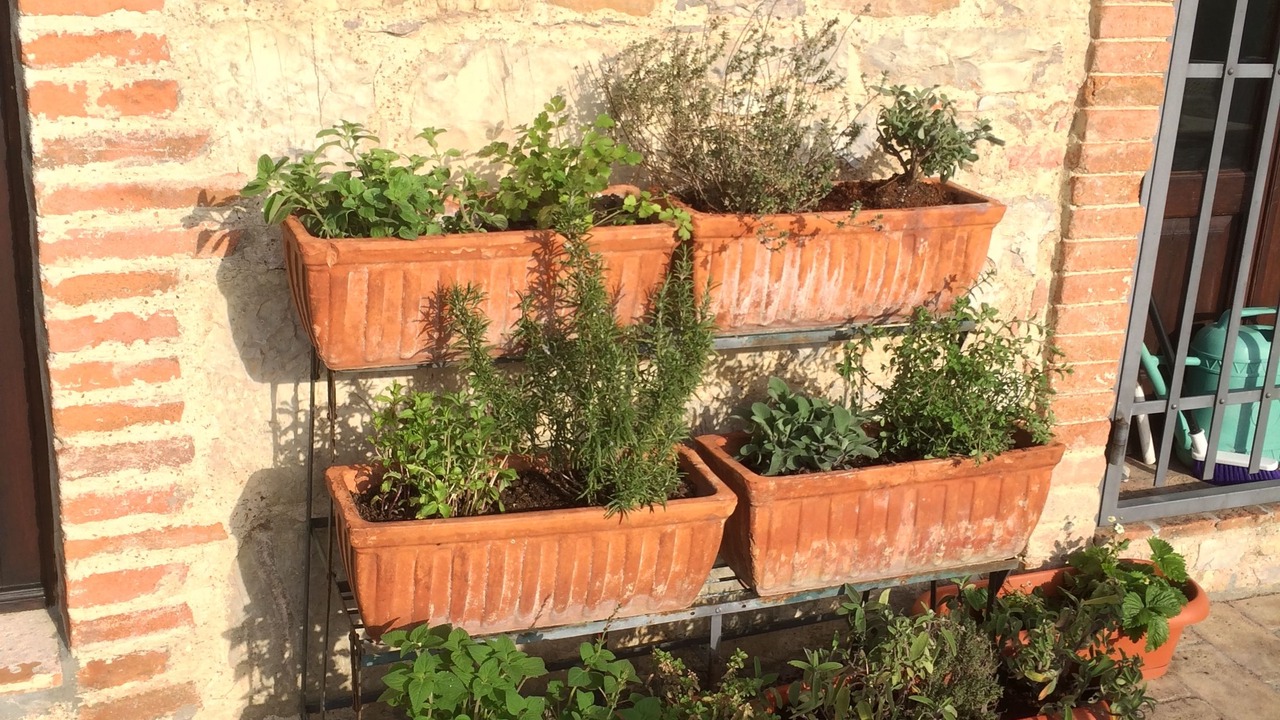 Photo of Patio Balcony in Castellina in Chianti