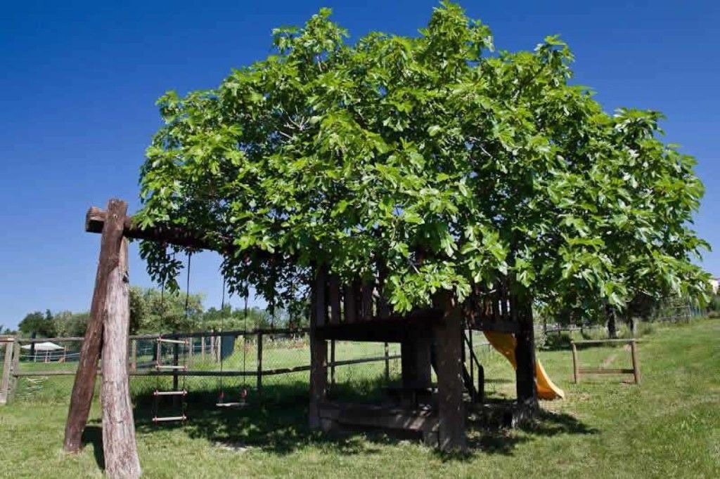 Photo of Outdoor in Montegiorgio