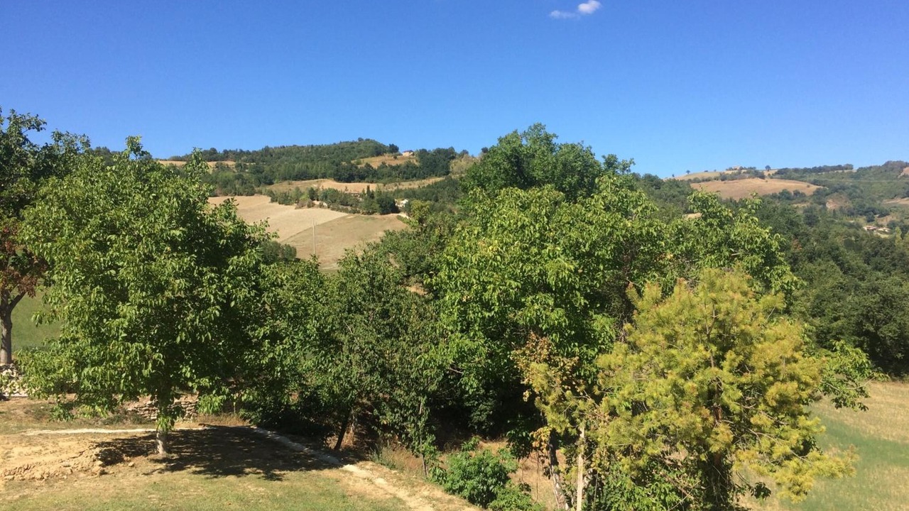 Photo of Outdoor in Amandola