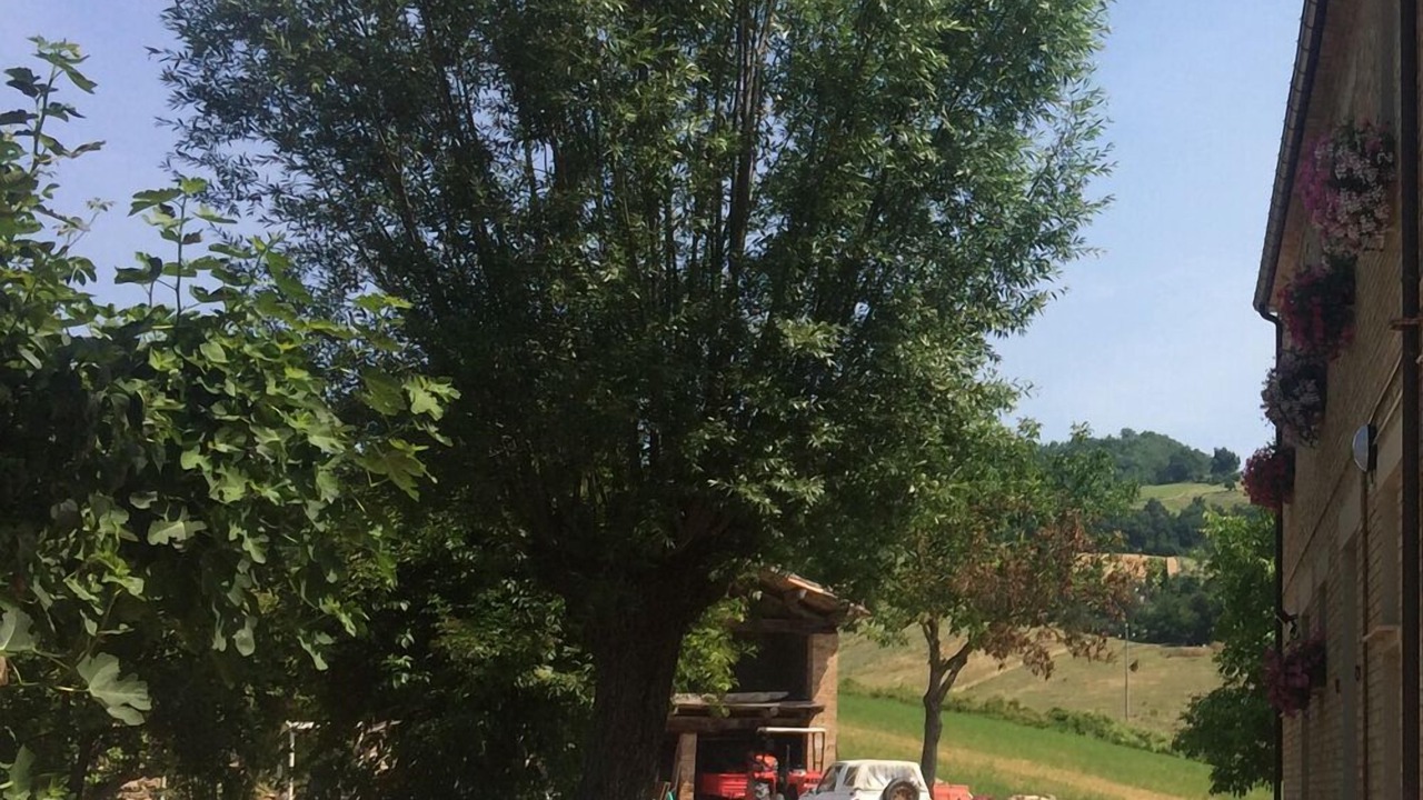 Photo of Outdoor in Amandola