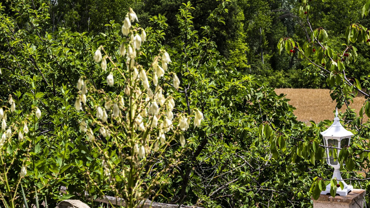 Photo of Outdoor in Amandola