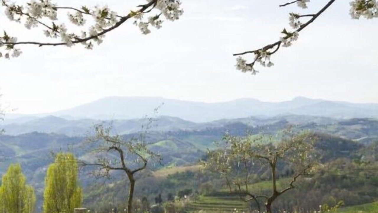Photo of Outdoor in Urbino