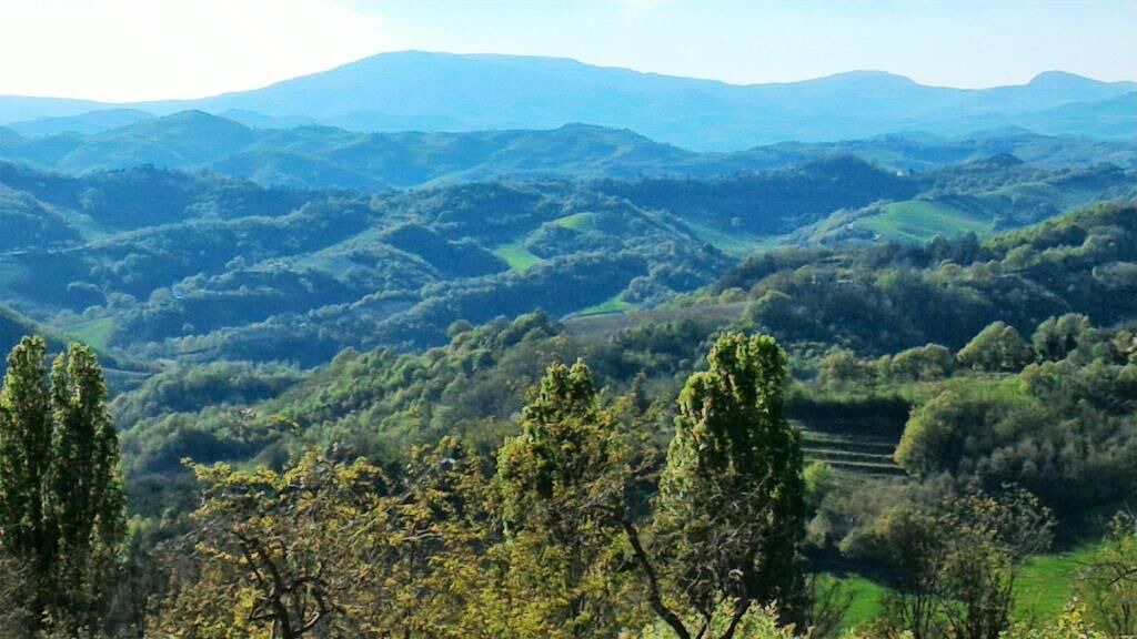 Photo of Others in Urbino