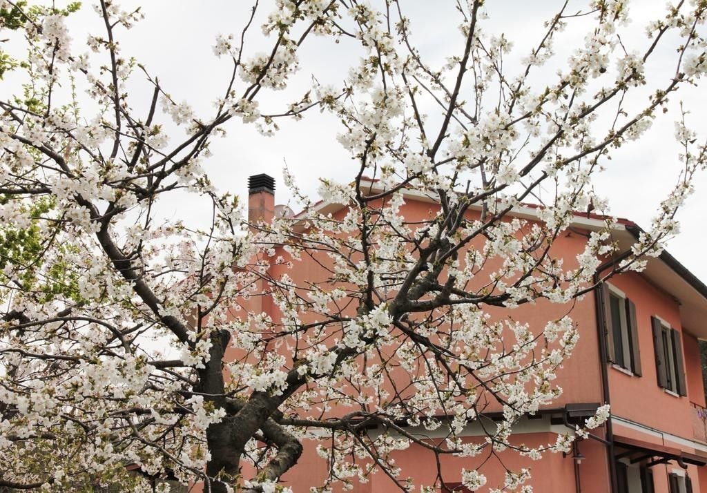 Photo of Outdoor in Urbino