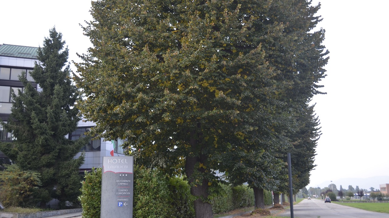 Photo of Outdoor in Pinerolo