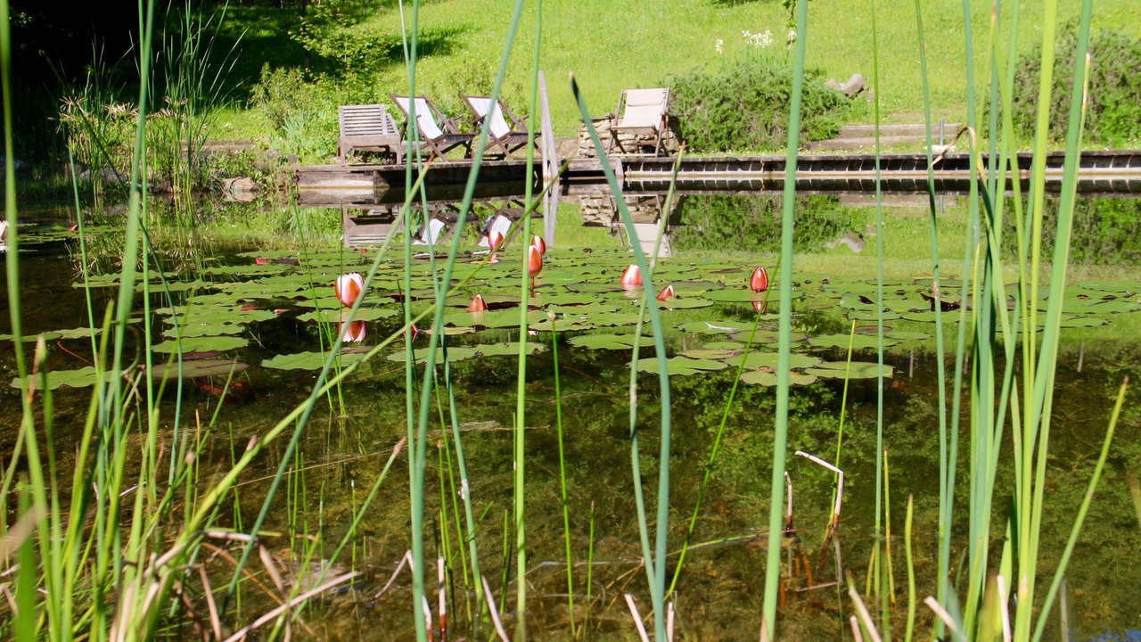 Photo of Outdoor in Figline e Incisa Valdarno