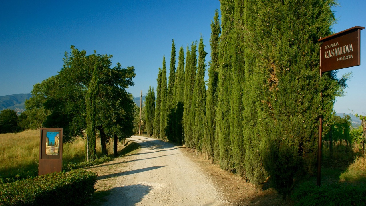 Photo of Outdoor in Figline e Incisa Valdarno