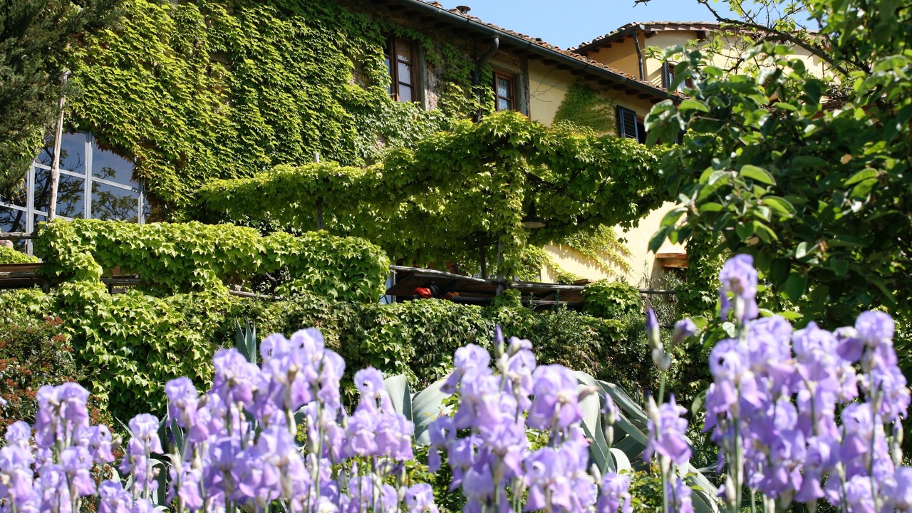Photo of Outdoor in Figline e Incisa Valdarno