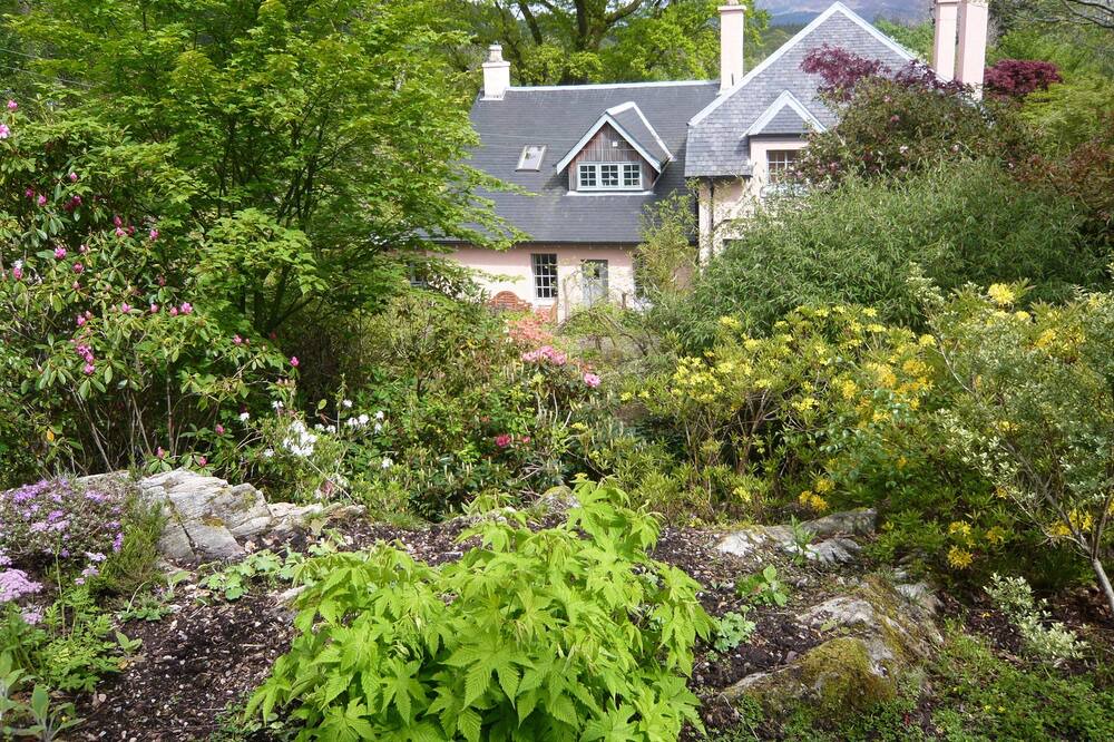 Photo of Outdoor in West Laroch