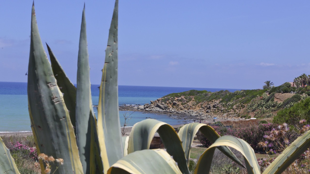 Photo of Outdoor in Capo