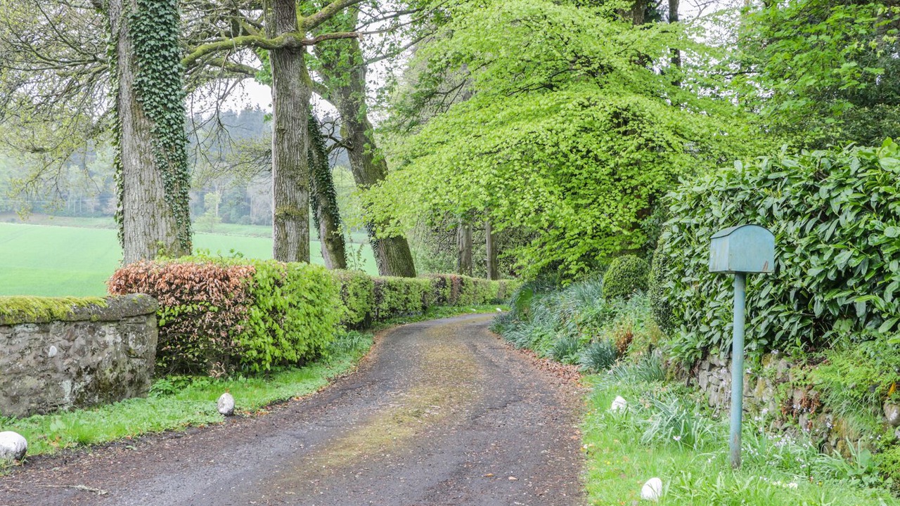 Photo of Outdoor in Caputh