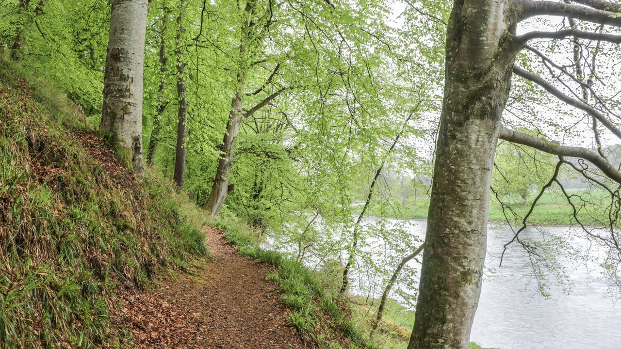 Photo of Outdoor in Caputh