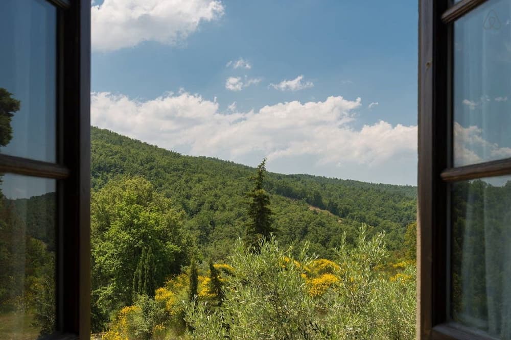 Photo of Others in Greve in Chianti