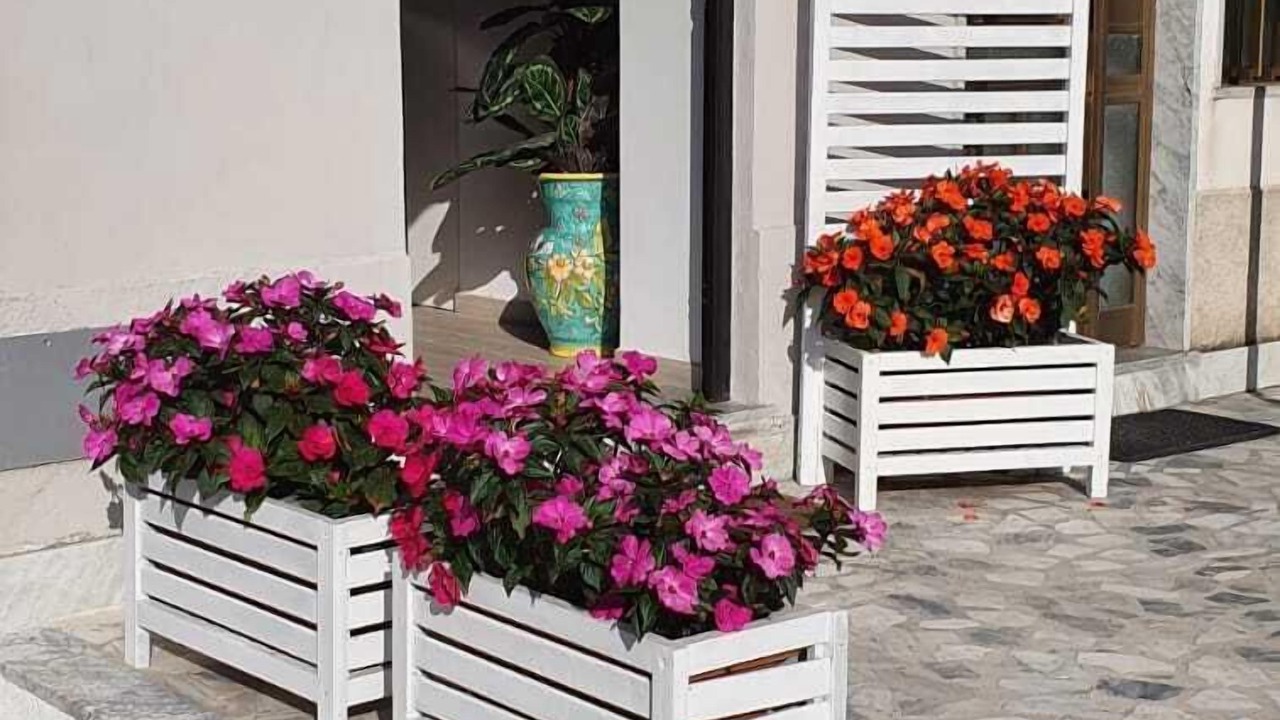 Photo of Outdoor in Laura