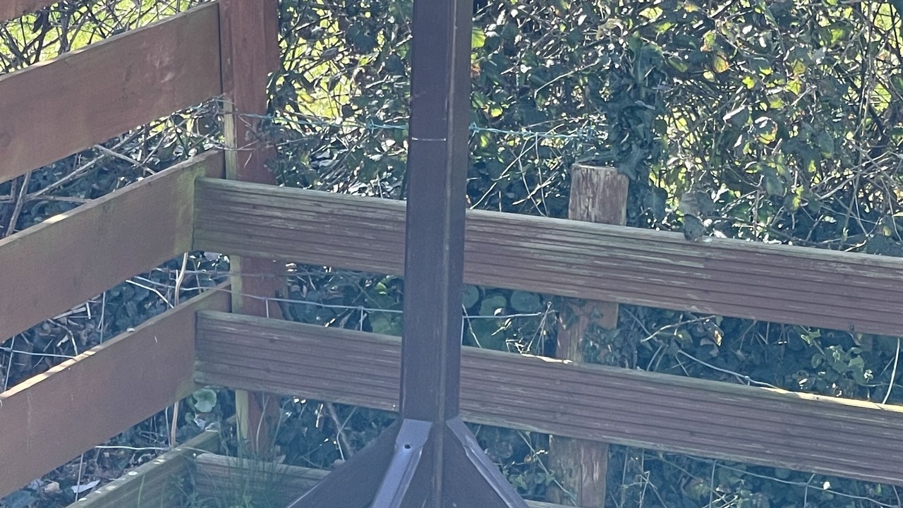 Photo of Outdoor in Bryngwran