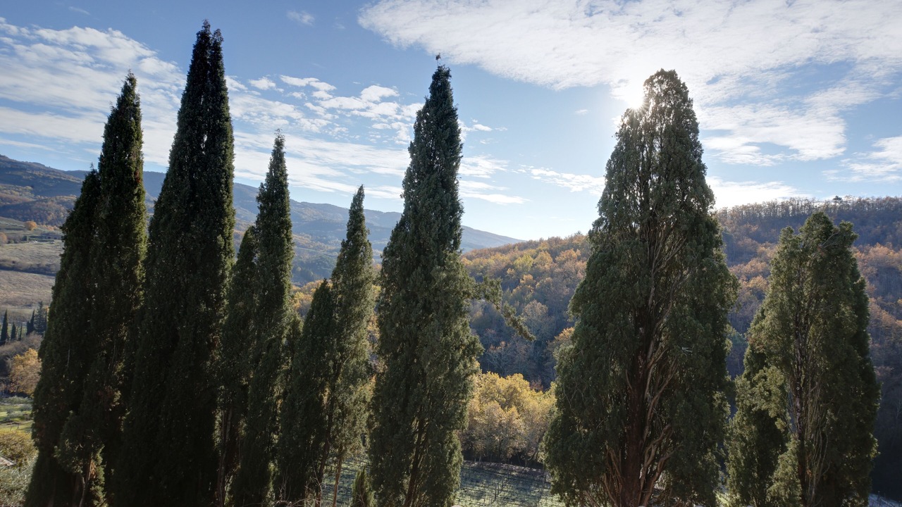 Photo of Others in Greve in Chianti