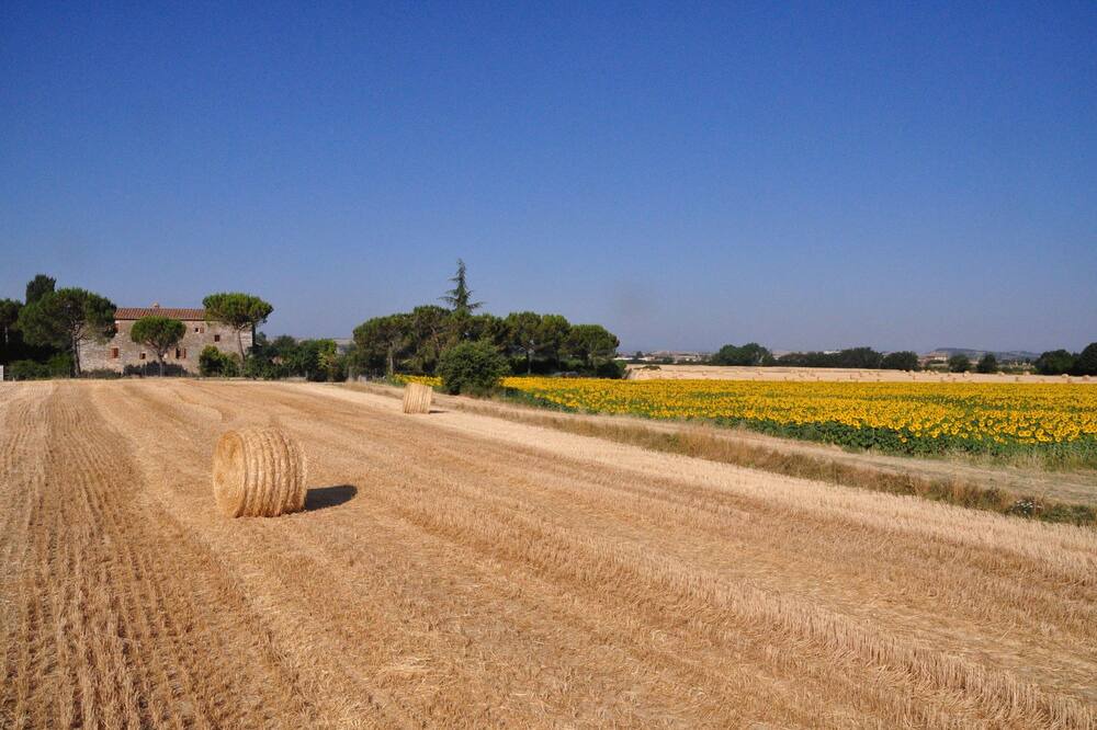 Photo of Outdoor in Asciano