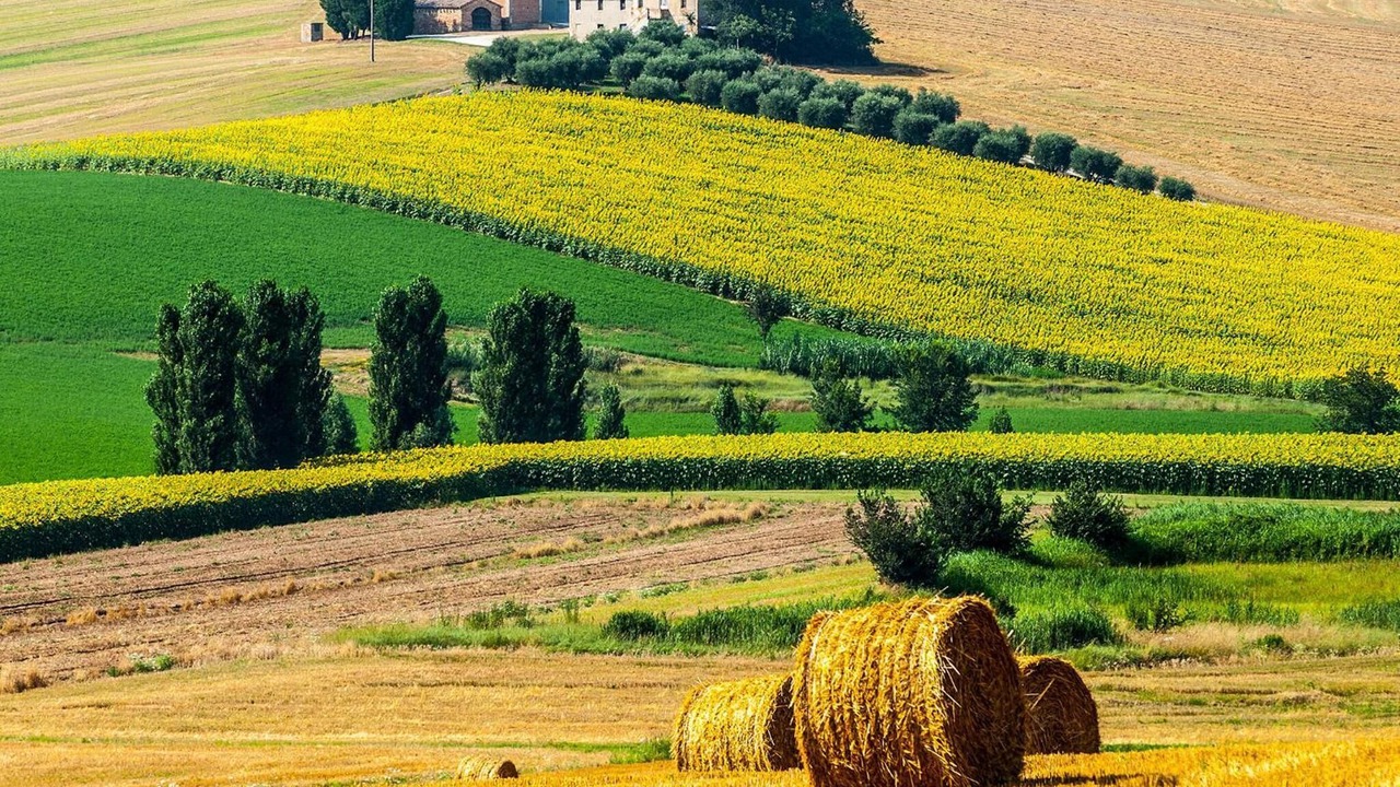 Photo of Outdoor in Urbino