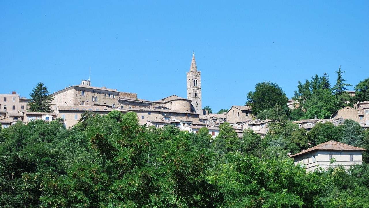 Photo of Others in Urbino