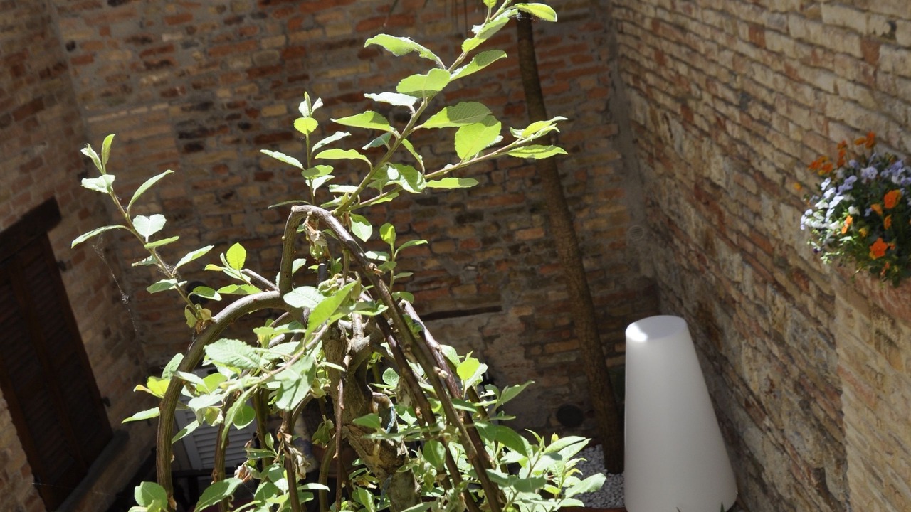 Photo of Outdoor in Urbino