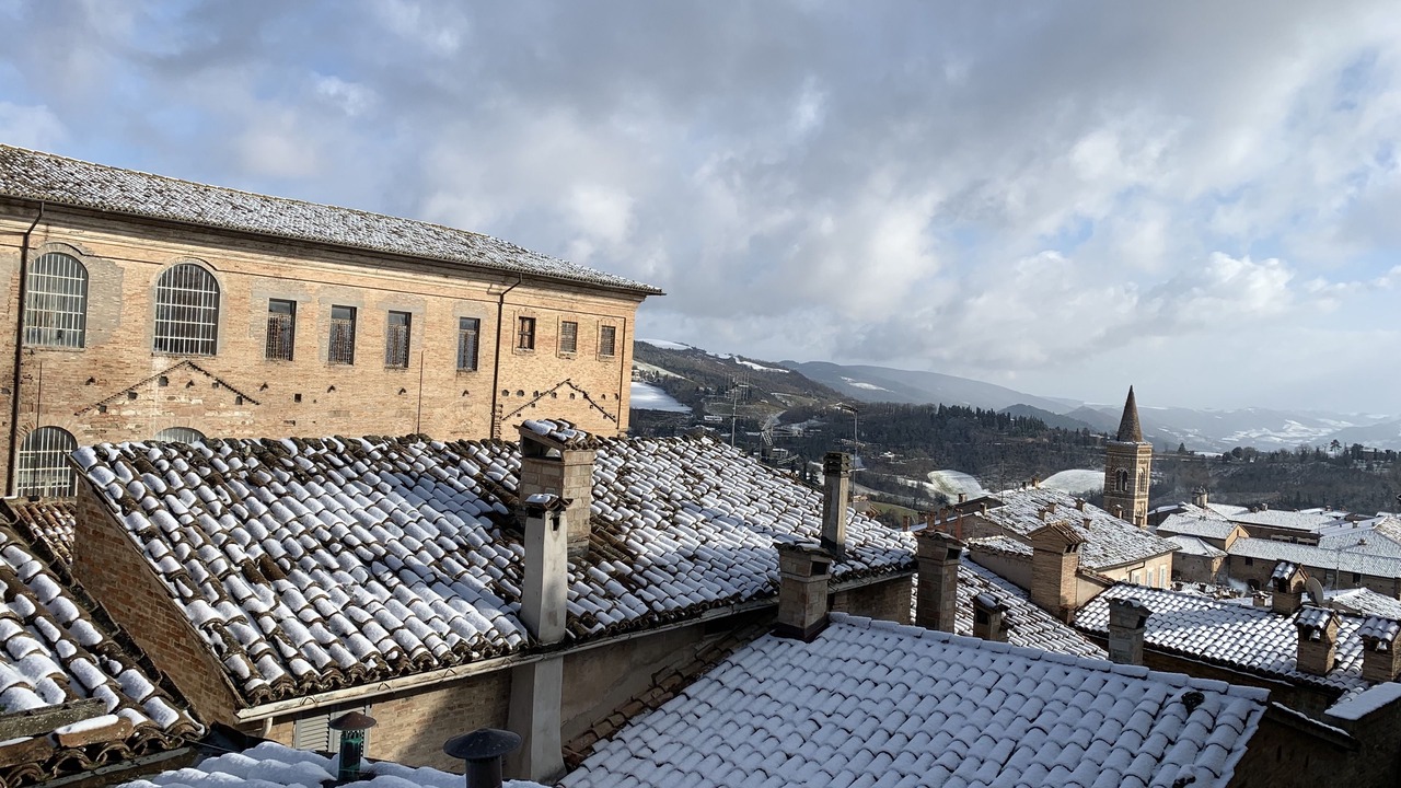 Photo of Others in Urbino