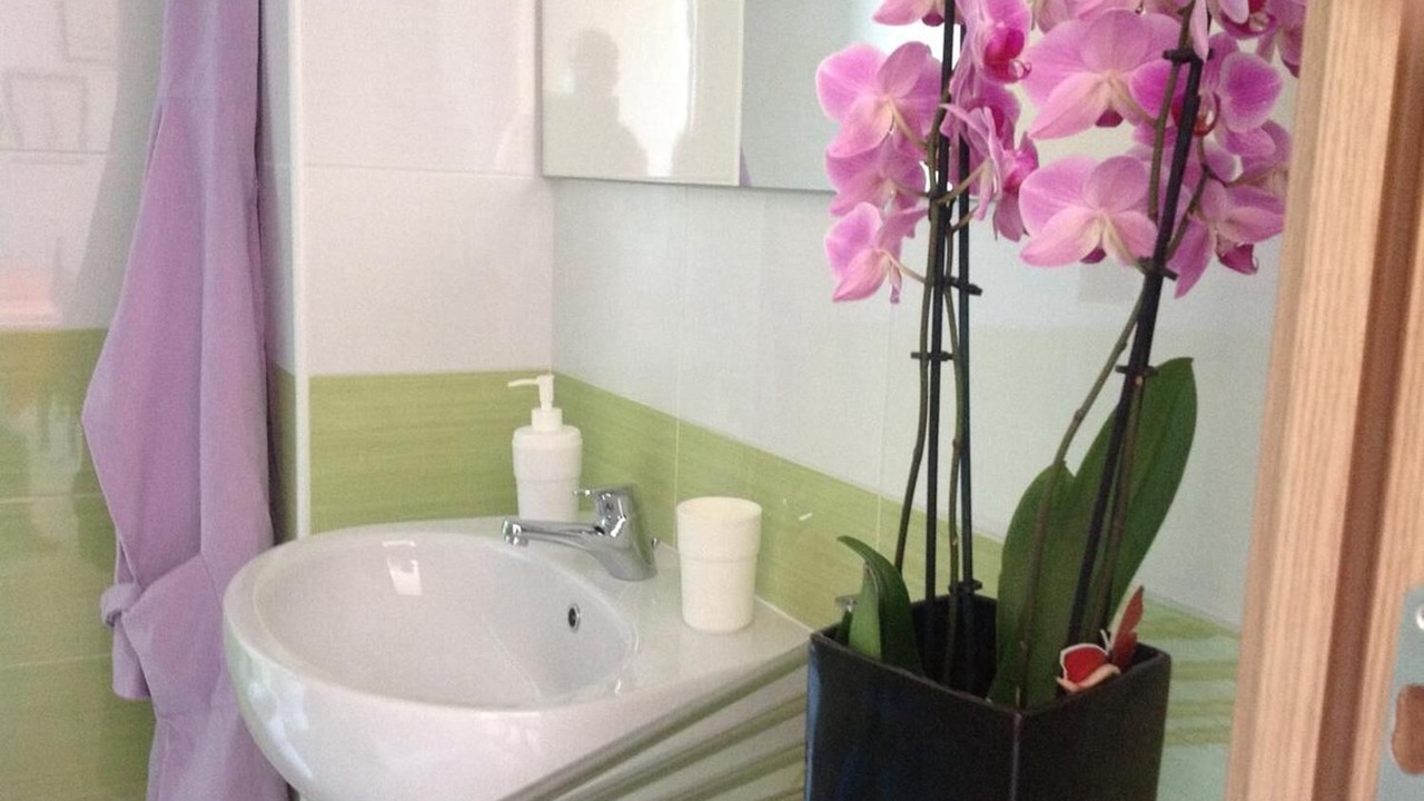 Photo of Bathroom in Torrette