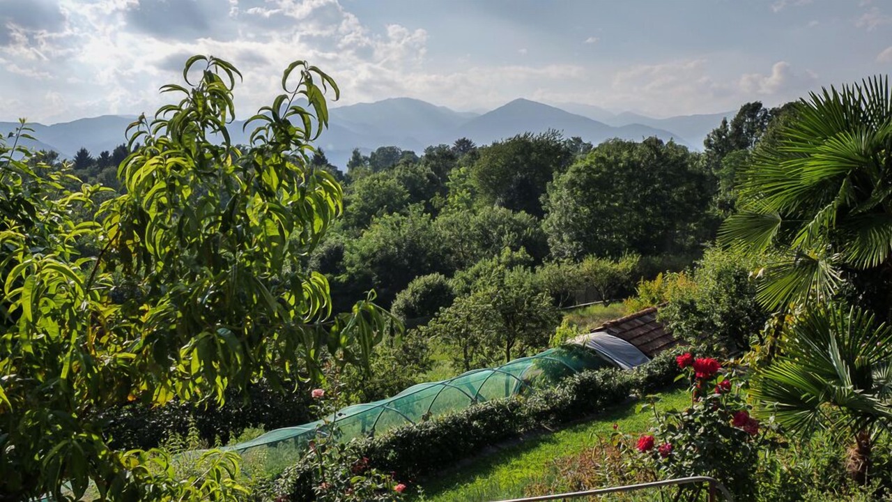 Photo of Outdoor in Ameno