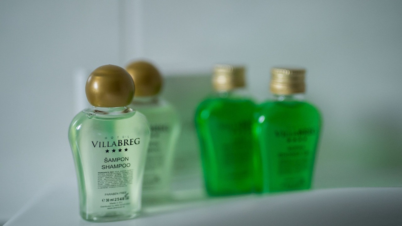 Photo of Bathroom in Vrsac